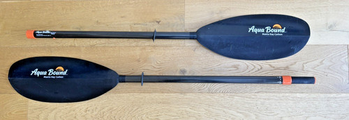 Aqua bound manta ray - manta, carbon