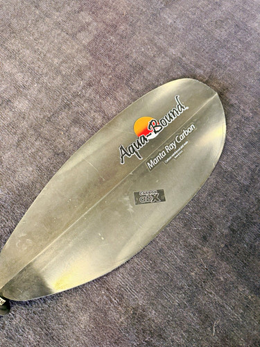 Aqua bound manta ray - manta,